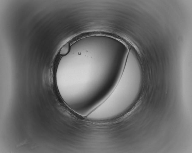 X0000116151069200911301536