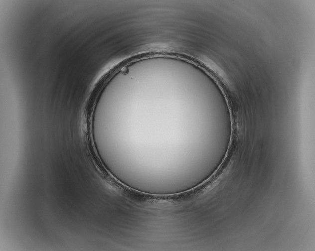 X0000116151070200911301536