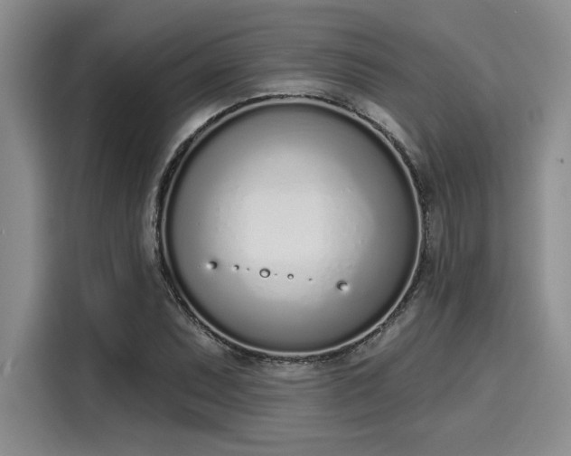 X0000116151071200911301536