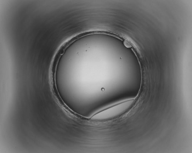 X0000116151072200911301536