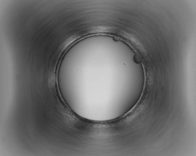 X0000116151073200911301536