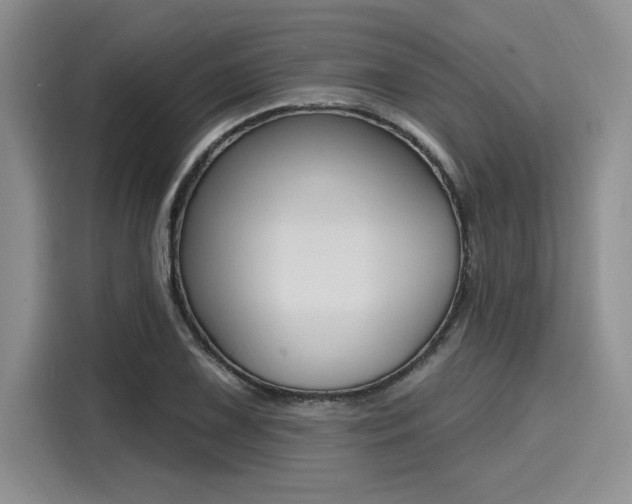 X0000116151075200911301536