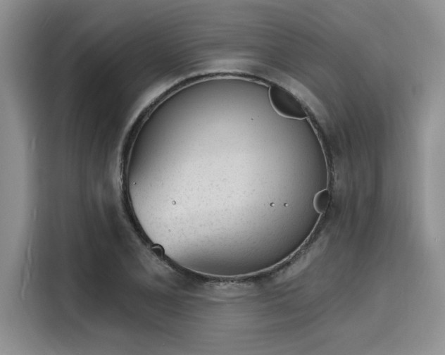 X0000116151077200911301536