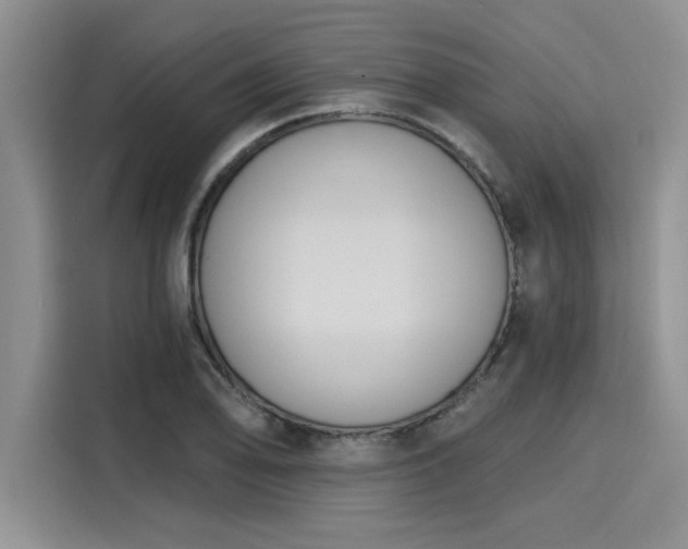 X0000116151078200911301536