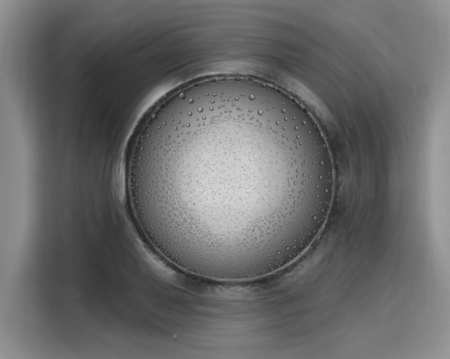 X0000116151079200911301536