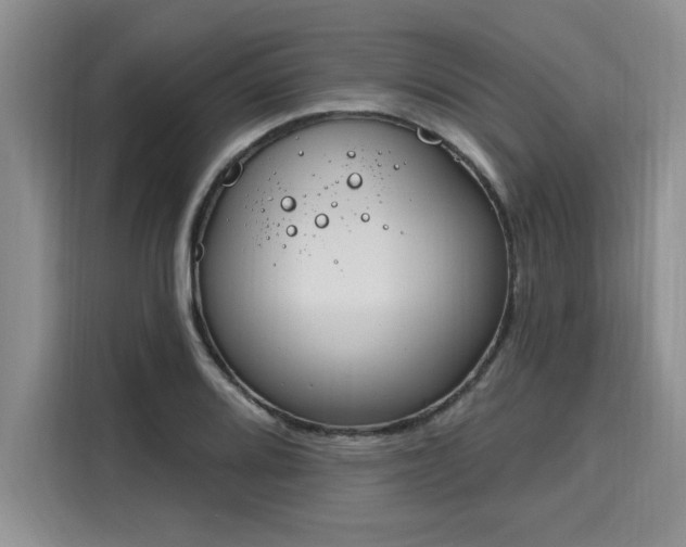 X0000116151080200911301536