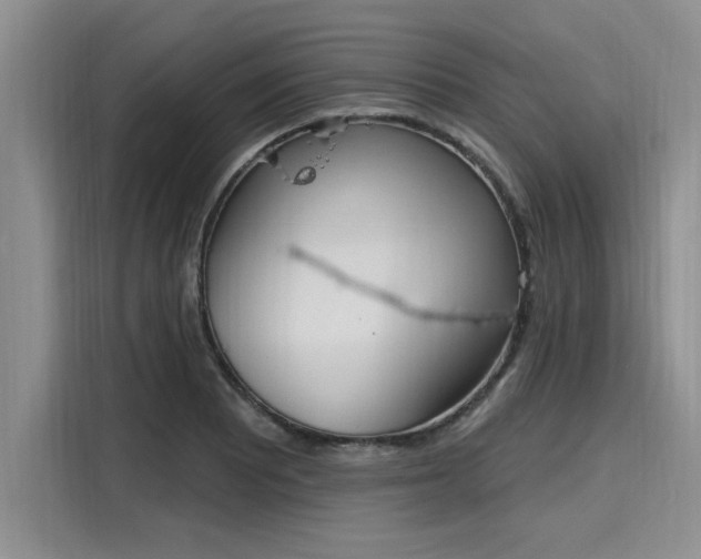 X0000116151081200911301536