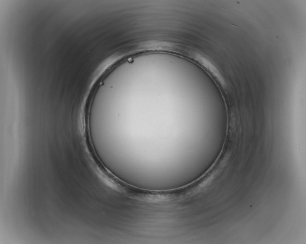 X0000116151082200911301536