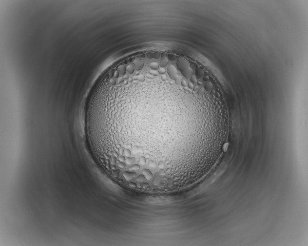 X0000116151083200911301536