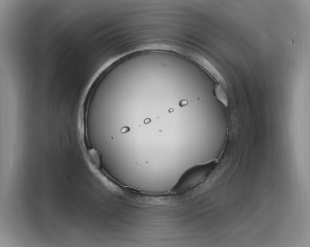 X0000116151084200911301536