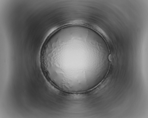 X0000116151087200911301536