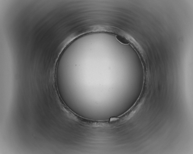 X0000116151089200911301536