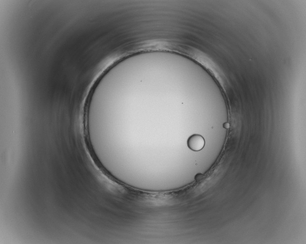 X0000116151090200911301536