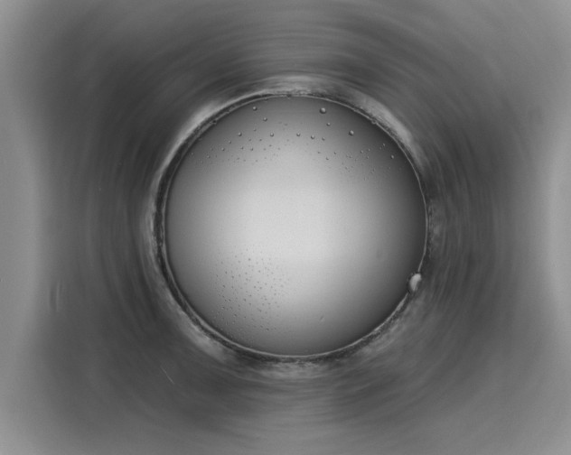 X0000116151091200911301536