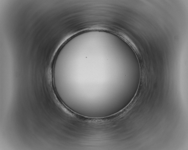 X0000116151092200911301536