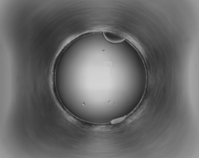 X0000116151093200911301536