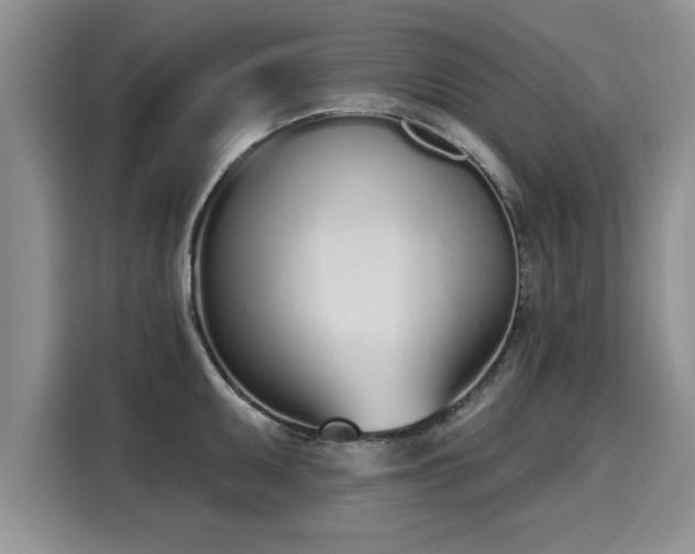 X0000116151095200911301536