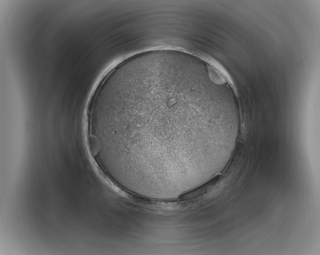 X0000116151096200911301536