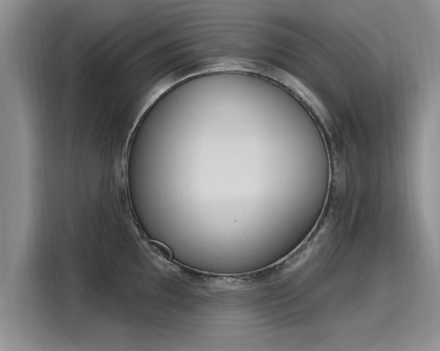 X0000116151097200911301536