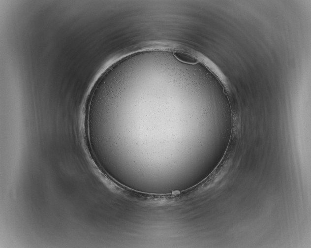 X0000116151099200911301536