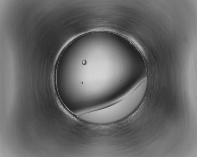 X0000116151100200911301536