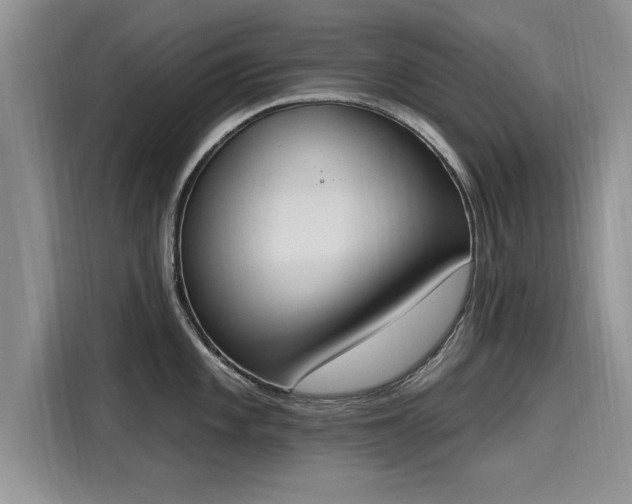 X0000116151101200911301536