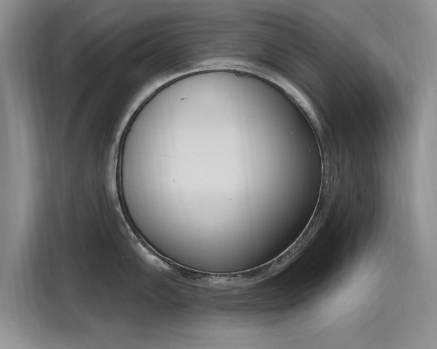 X0000116151102200911301536