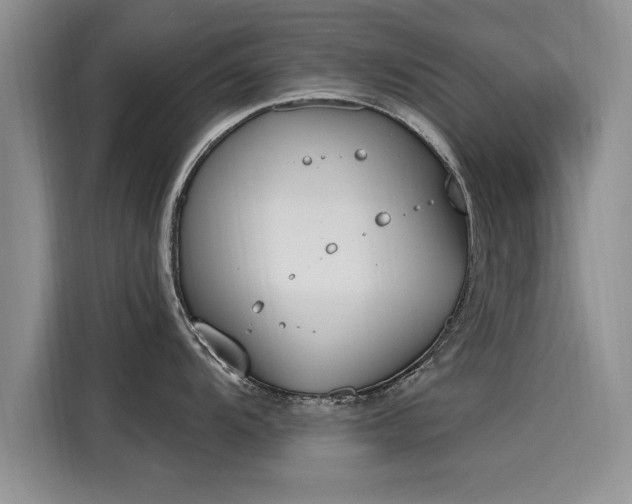 X0000116151104200911301536