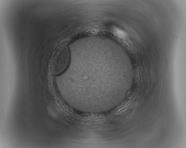 X0000116151105200911301535