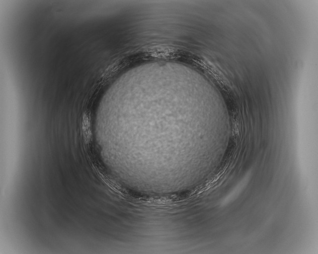 X0000116151106200911301535