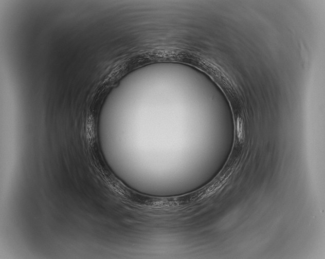 X0000116151107200911301535