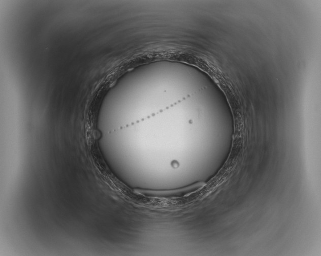 X0000116151109200911301535