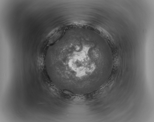 X0000116151110200911301535