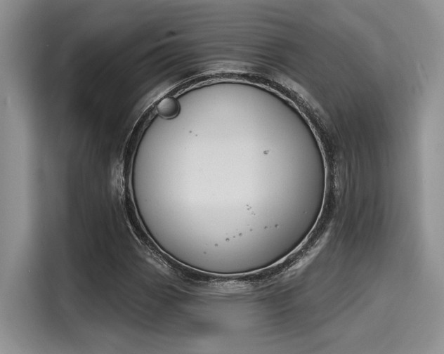 X0000116151113200911301535