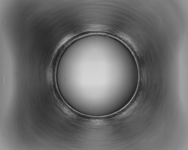 X0000116151114200911301535