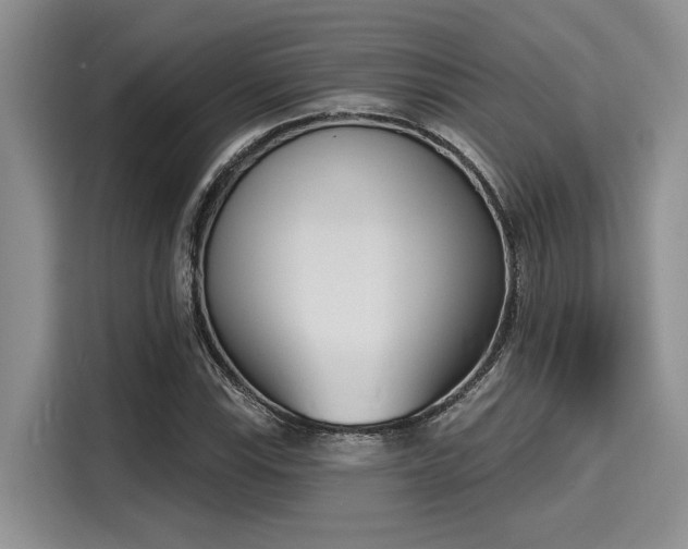 X0000116151115200911301535