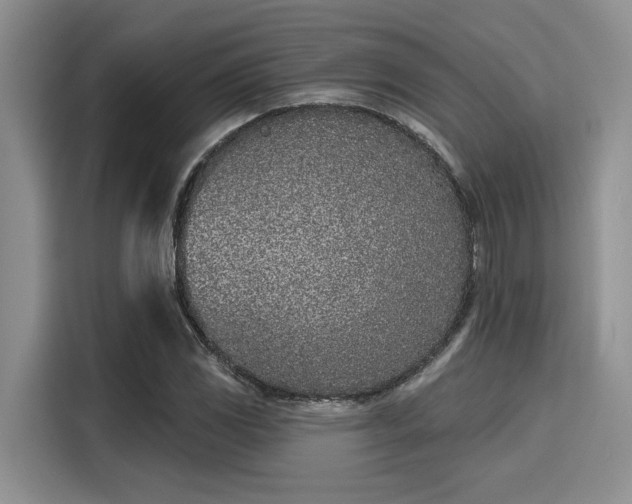 X0000116151117200911301535