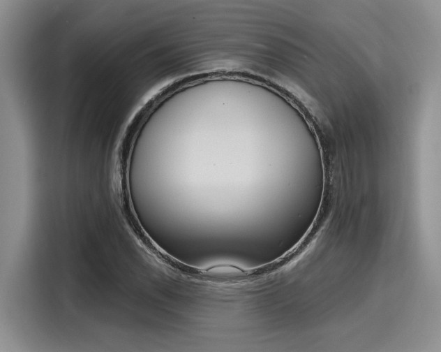 X0000116151118200911301535