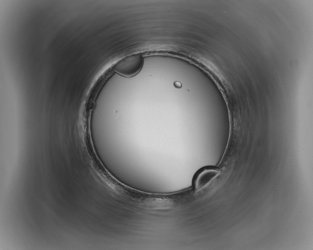 X0000116151119200911301535