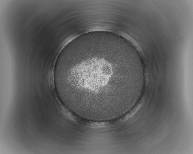 X0000116151121200911301535