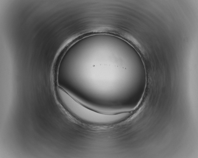 X0000116151122200911301535