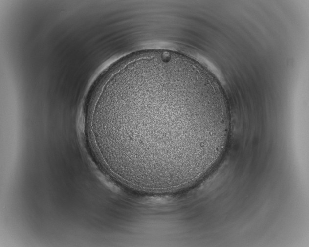 X0000116151125200911301535