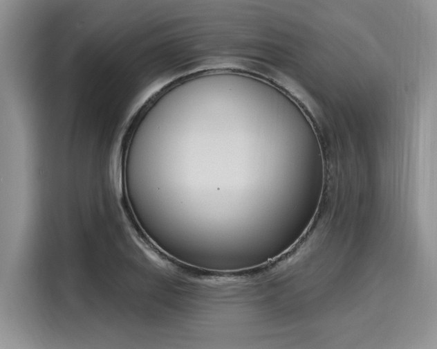 X0000116151127200911301535