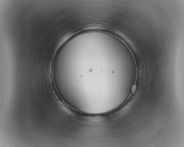 X0000116151129200911301535