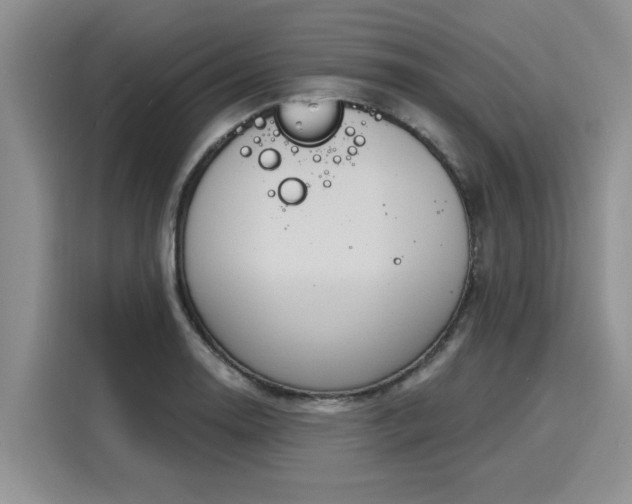 X0000116151130200911301535