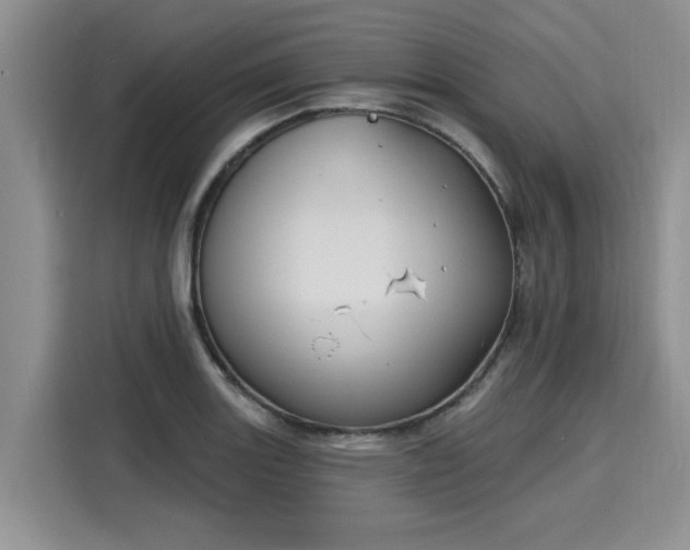 X0000116151131200911301535