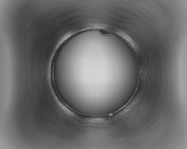 X0000116151135200911301535