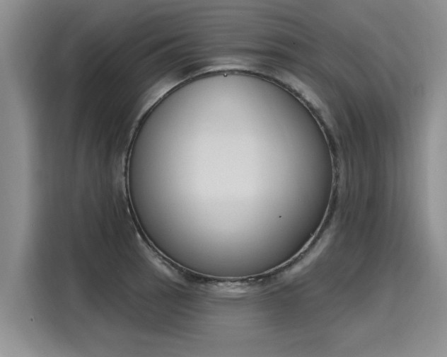 X0000116151137200911301535