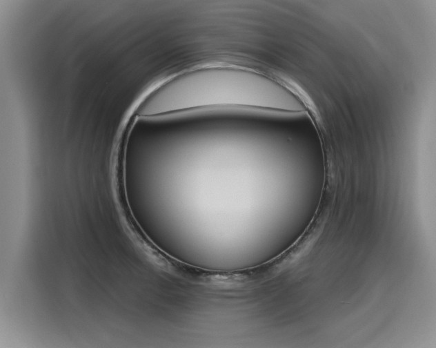 X0000116151138200911301535