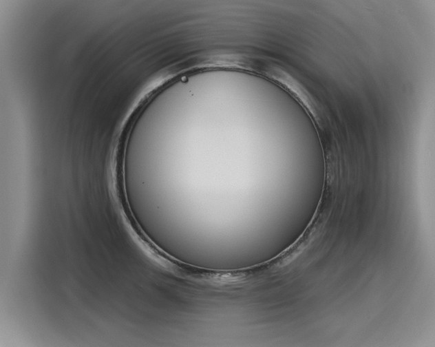 X0000116151139200911301535